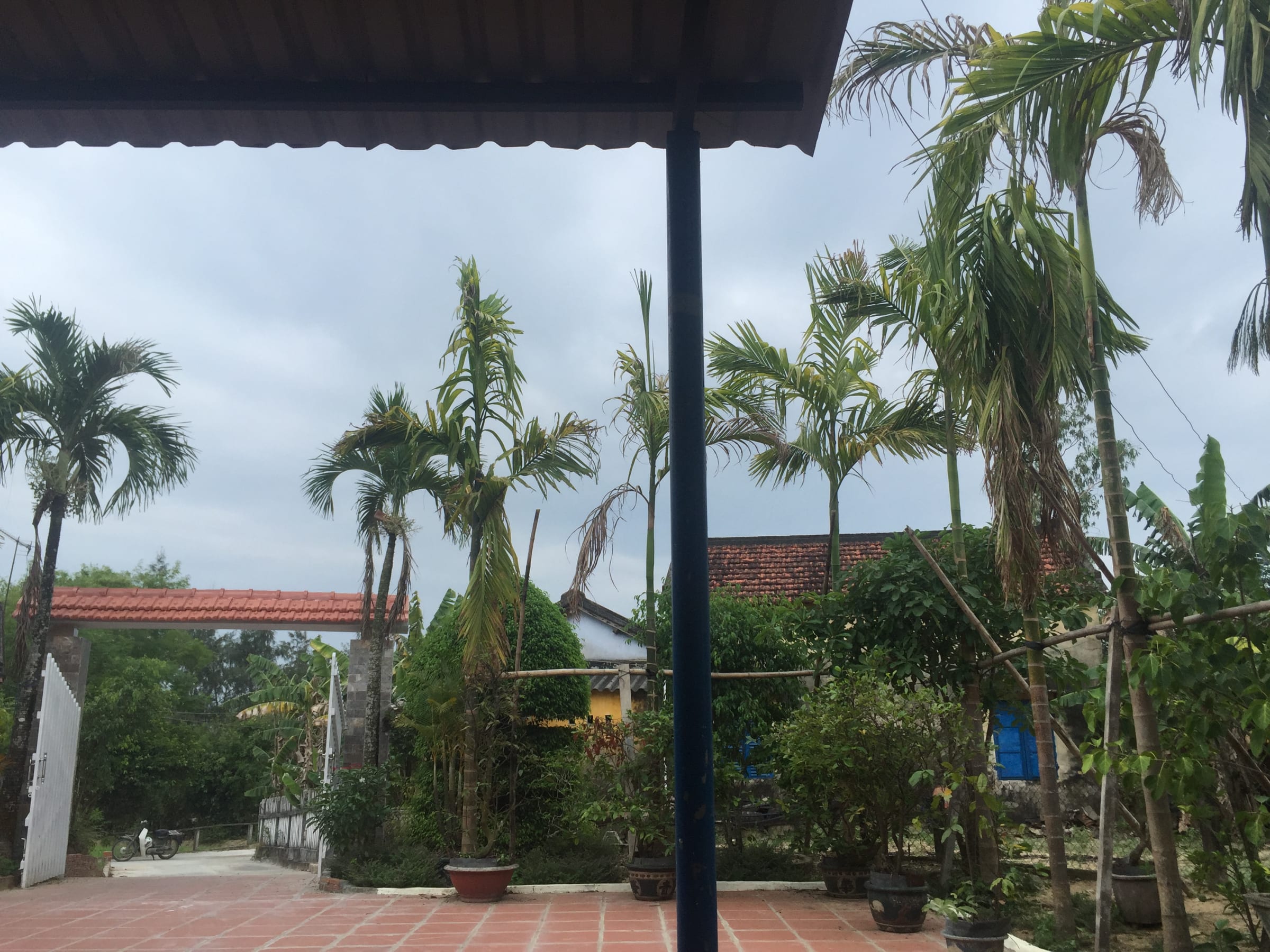 Đà Nẵng, photo 3