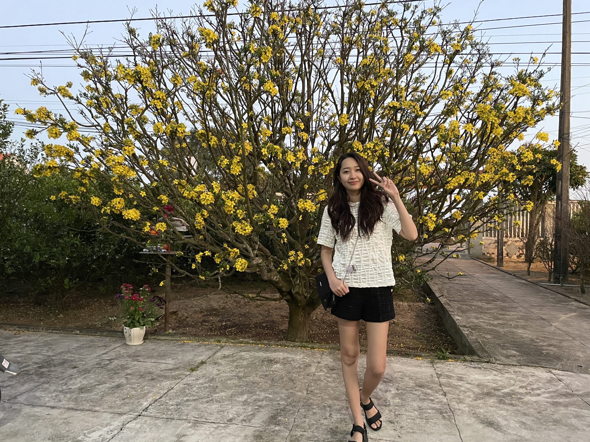 Đà Nẵng, photo 15