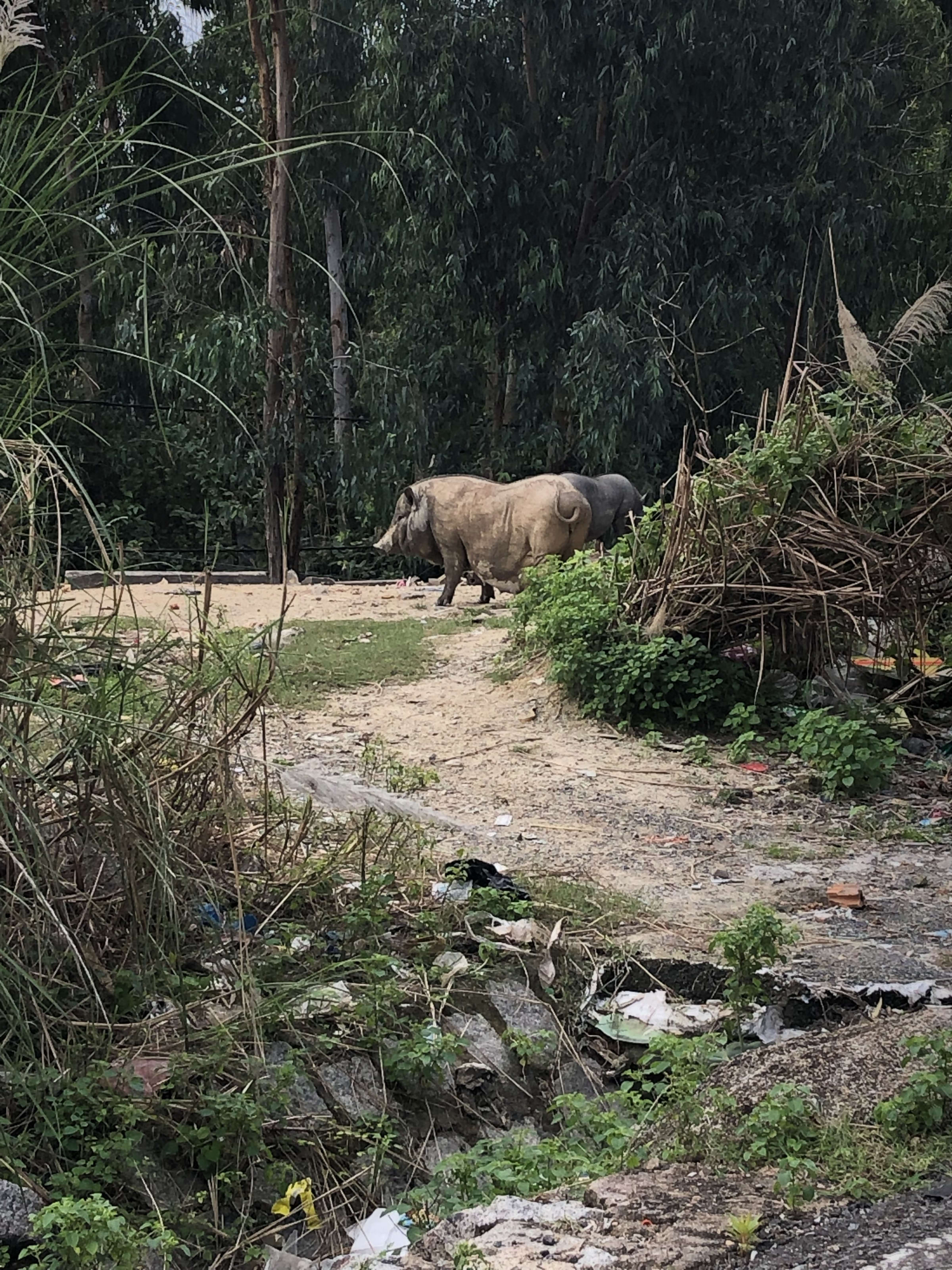 Phú Yên, photo 5