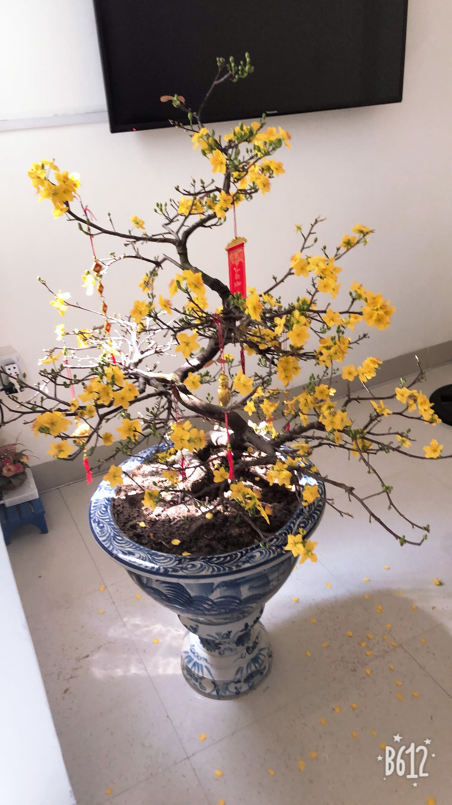 Đà Nẵng, photo 24