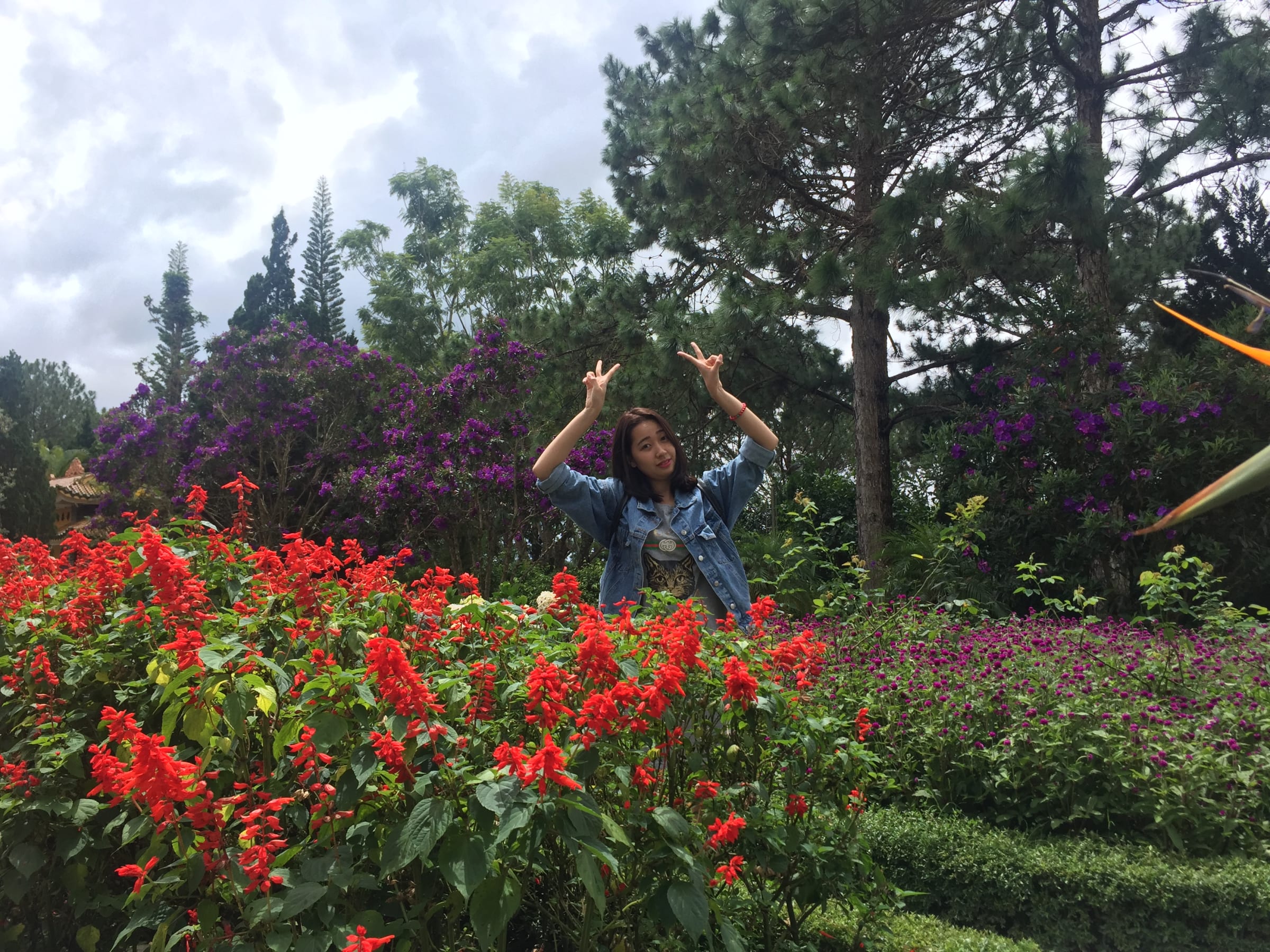 Hội An · Phú Yên · Đà Lạt, photo 35
