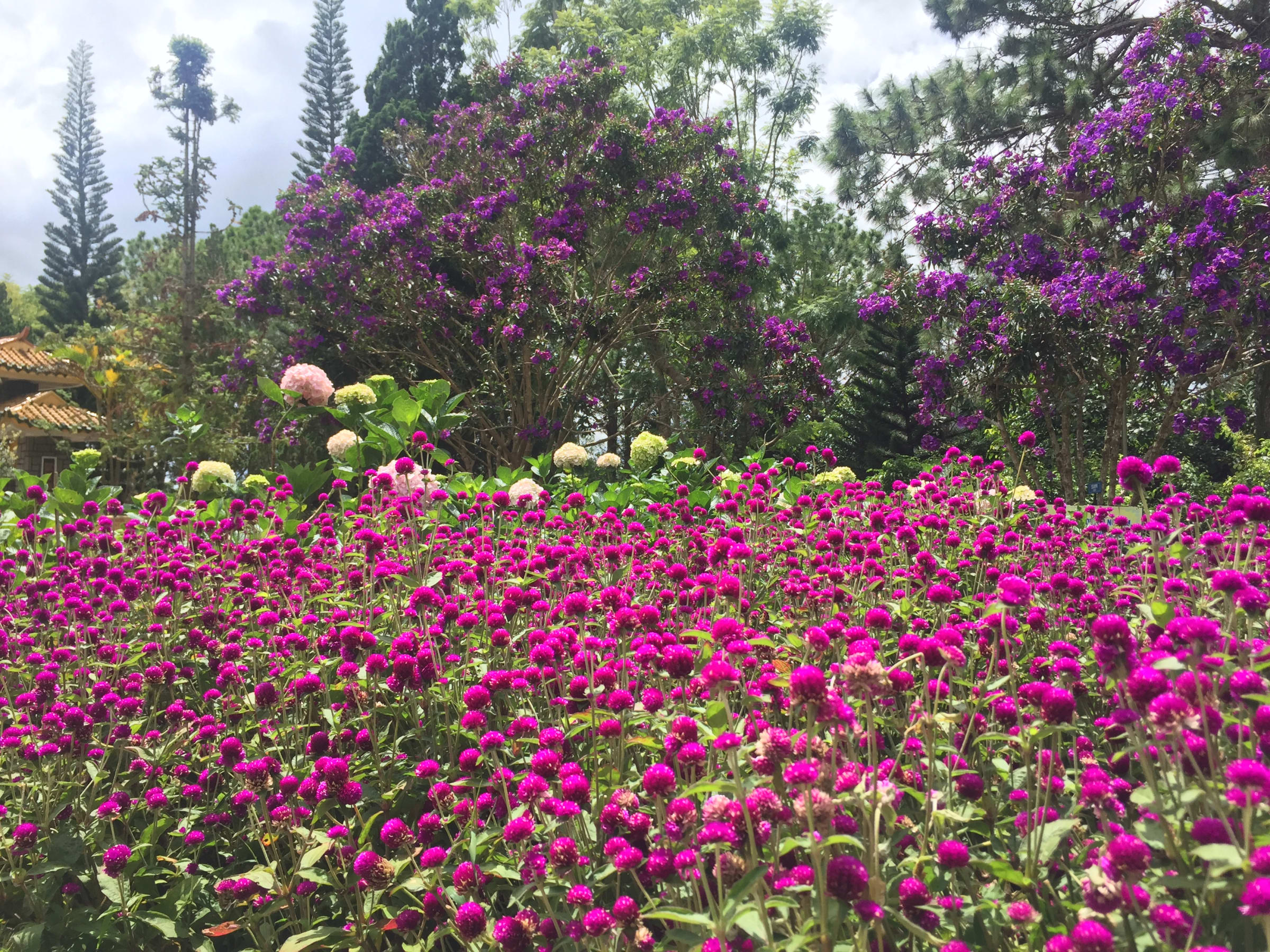 Hội An · Phú Yên · Đà Lạt, photo 36