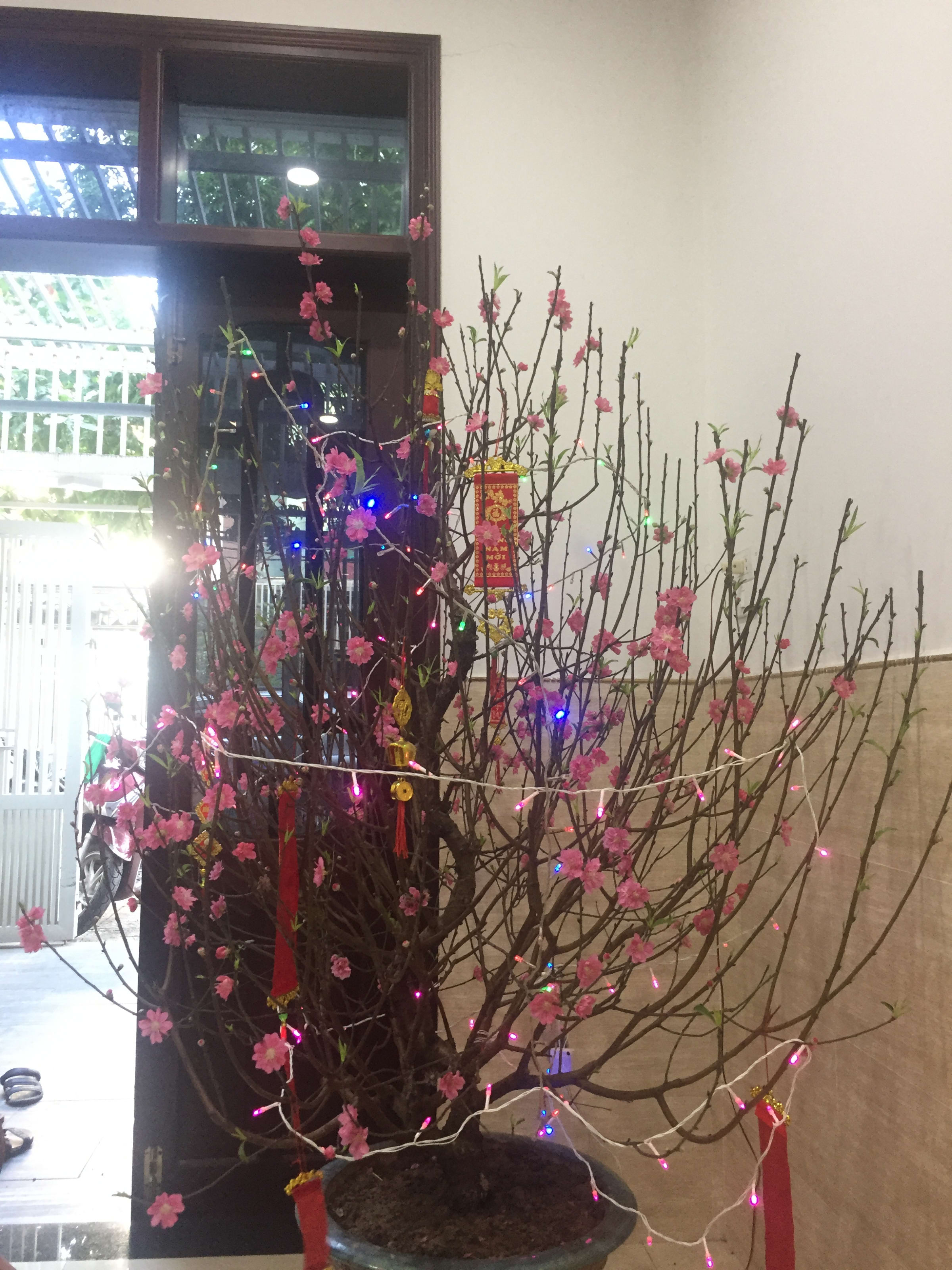 Đà Nẵng, photo 27