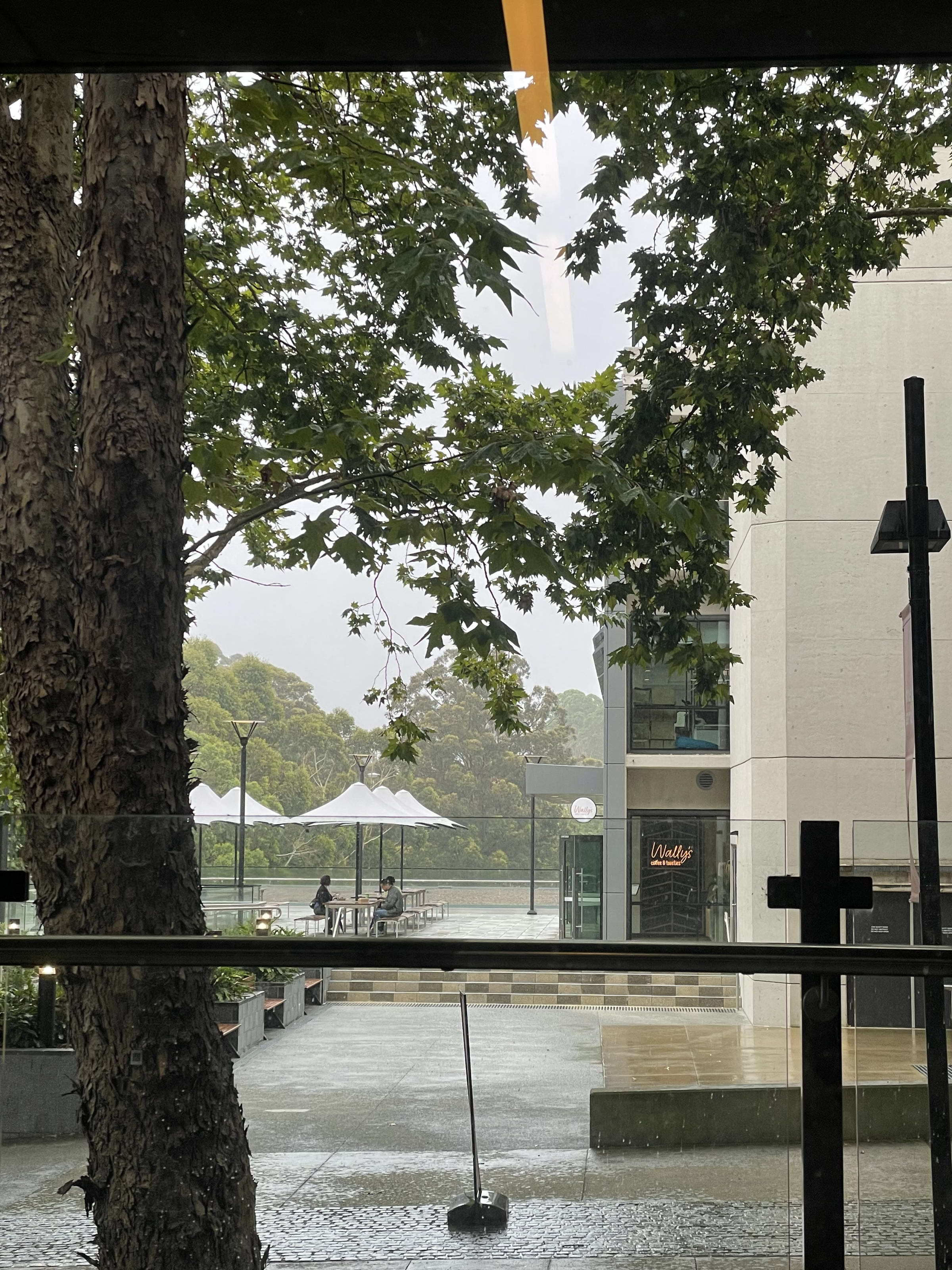 Sydney, photo 25