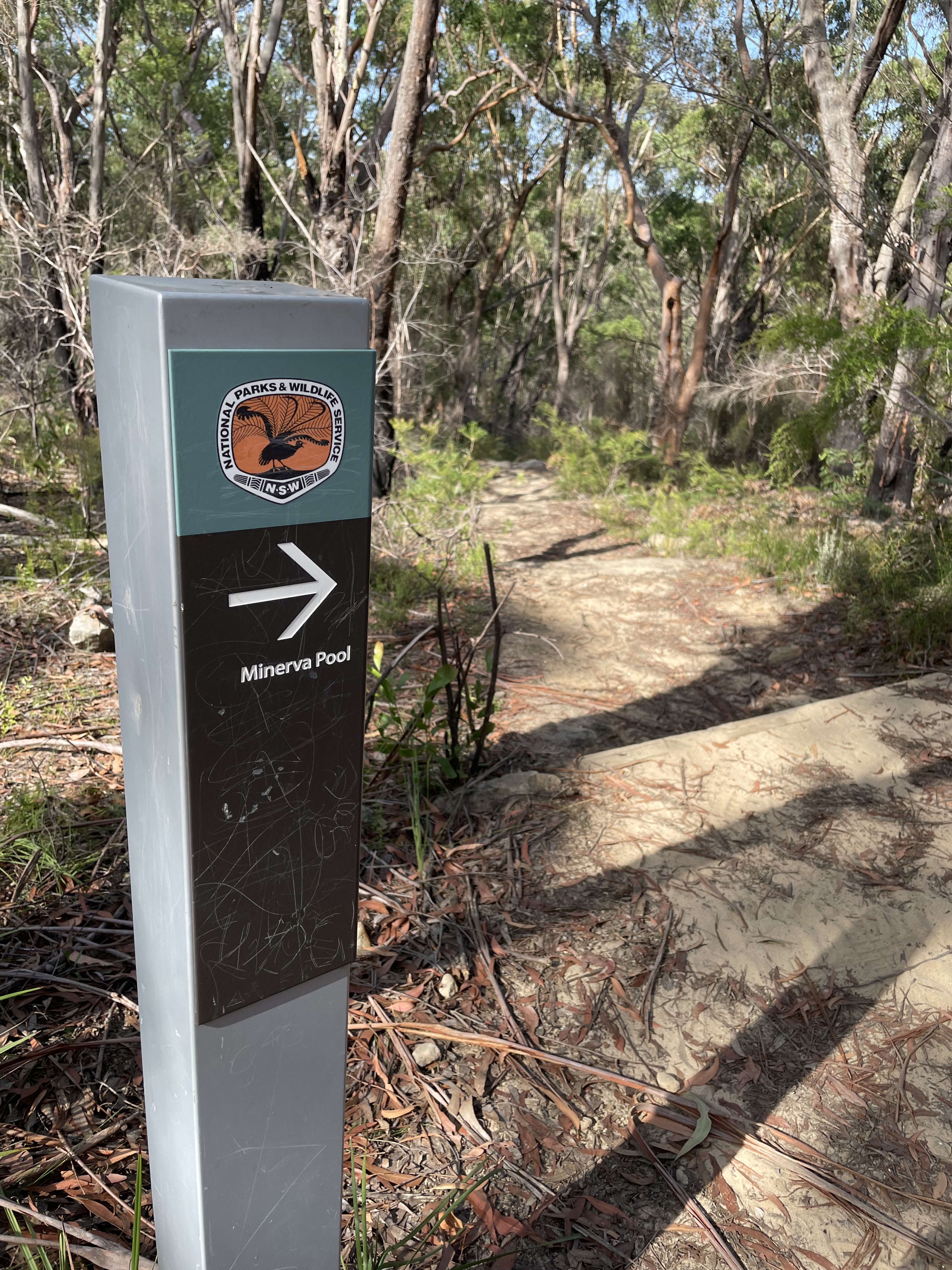 Sydney, photo 29