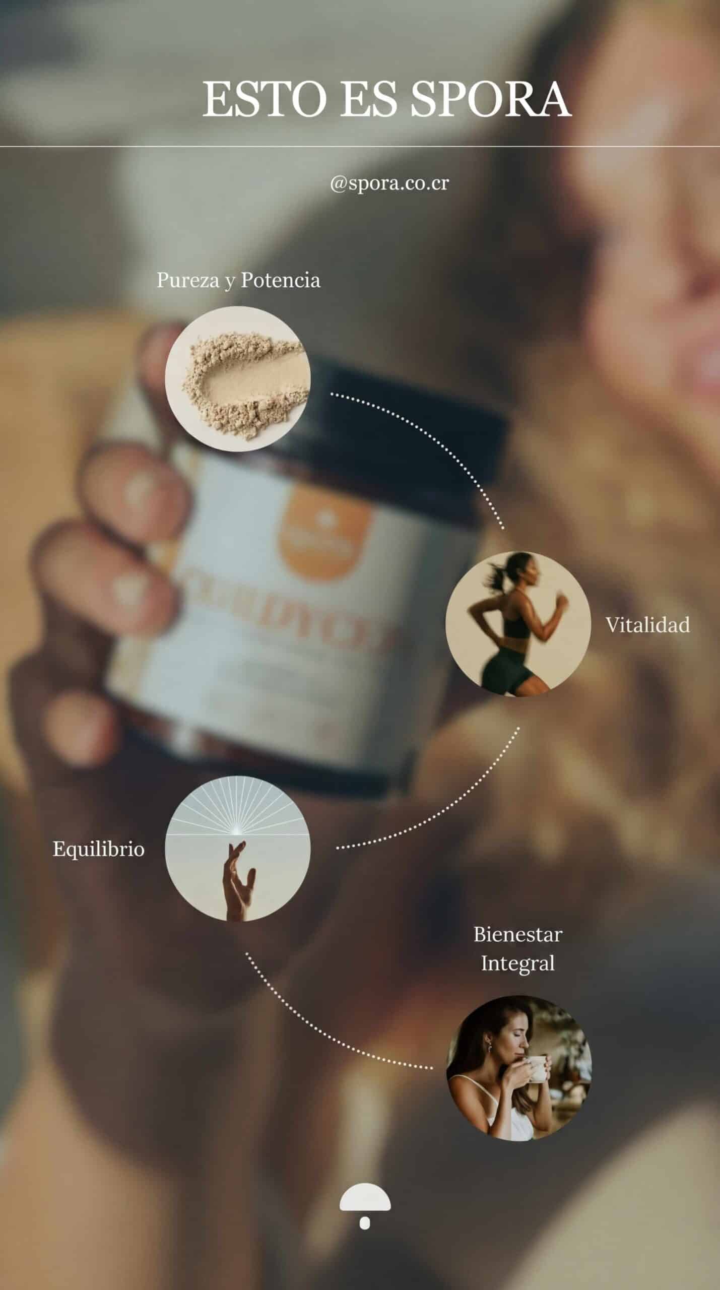 Hongos Funcionales en Polvo vs Cápsulas: Guía de Pureza y Biodisponibilidad