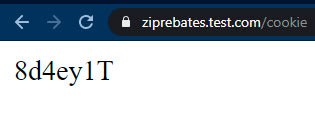 Verificar el valor de una Cookie a través de una ruta