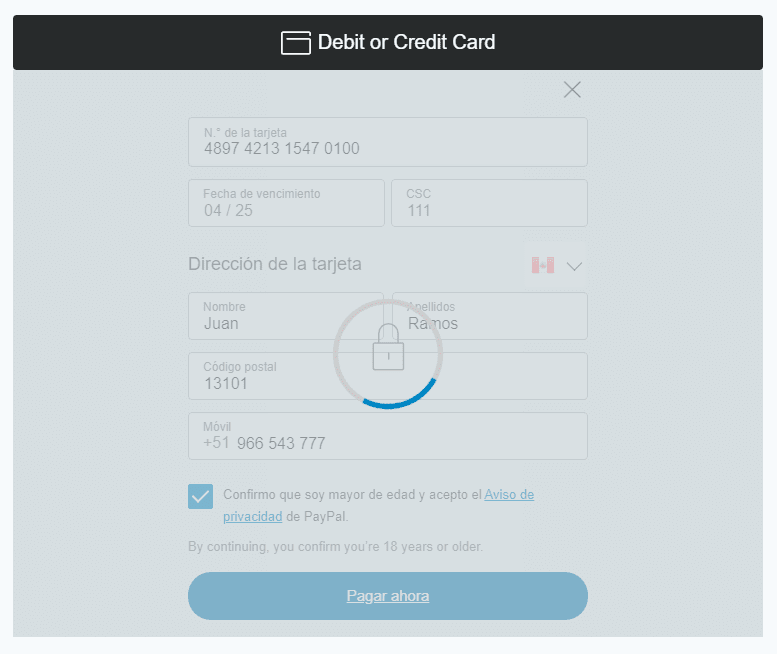 Procesando pago PayPal