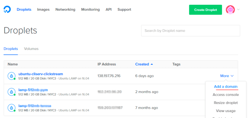 We added a domain to our droplet in Digital Ocean