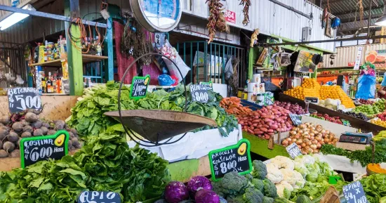 Vista general de ferias libres en Ñuñoa