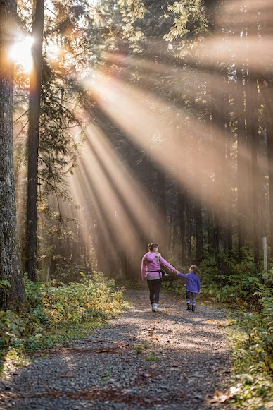 People on a walk in the woolds enjoying a friendly natural environment