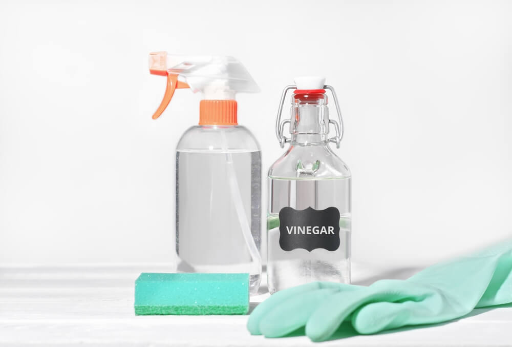 Vinegar Spray Bottle