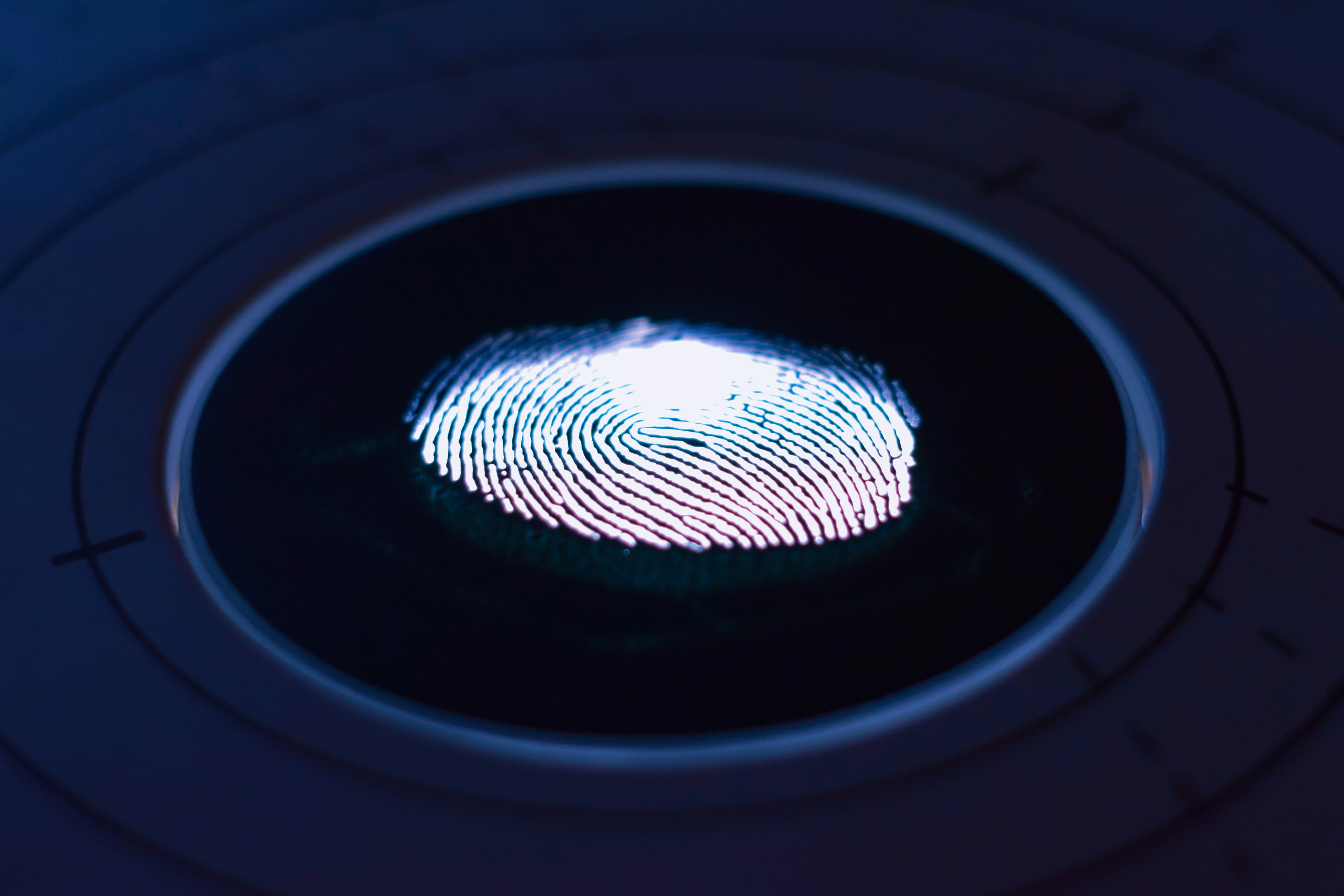 fingerprint on screen in circle biometric scan