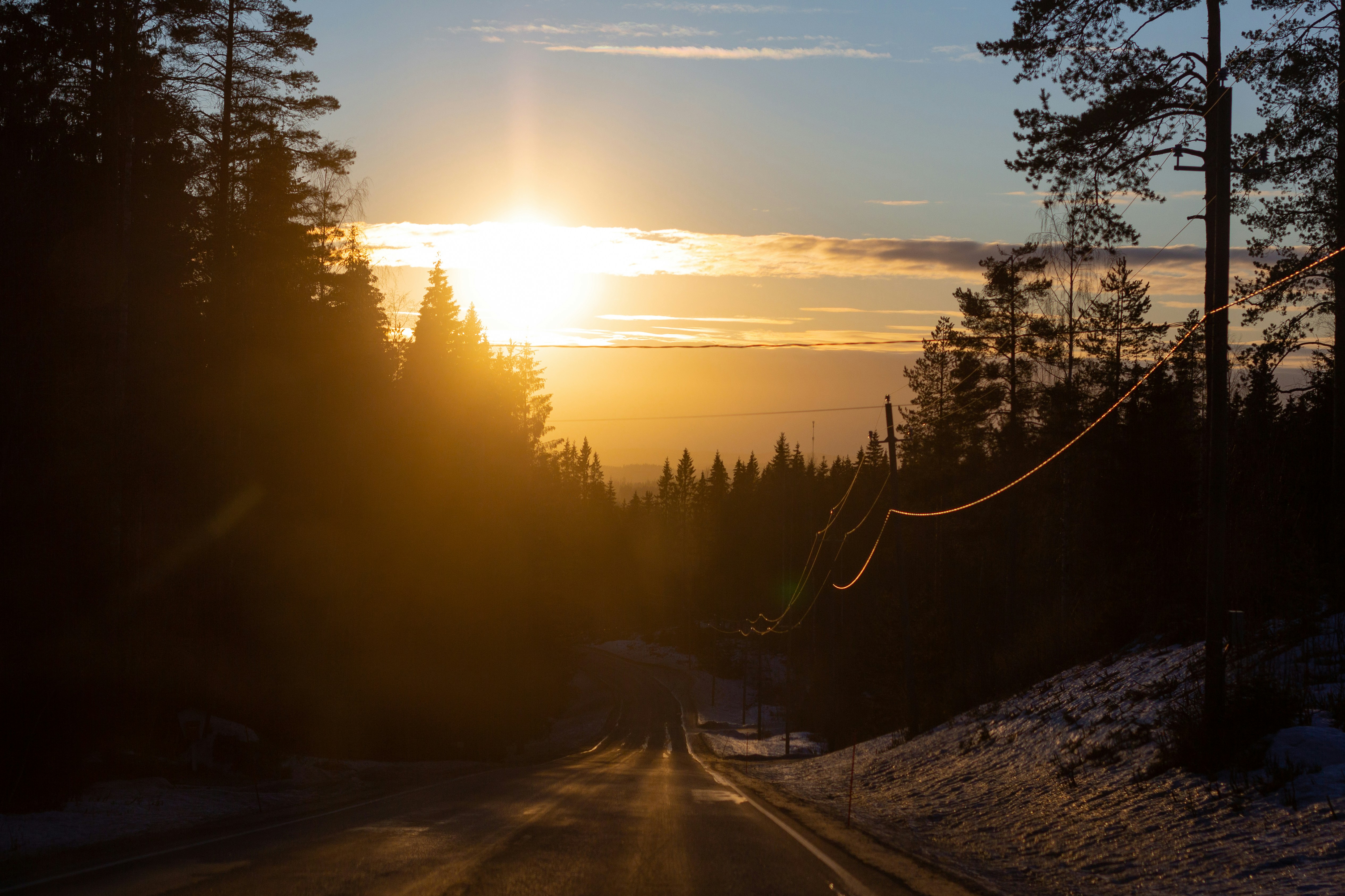 winter road water horizon low sun pine trees