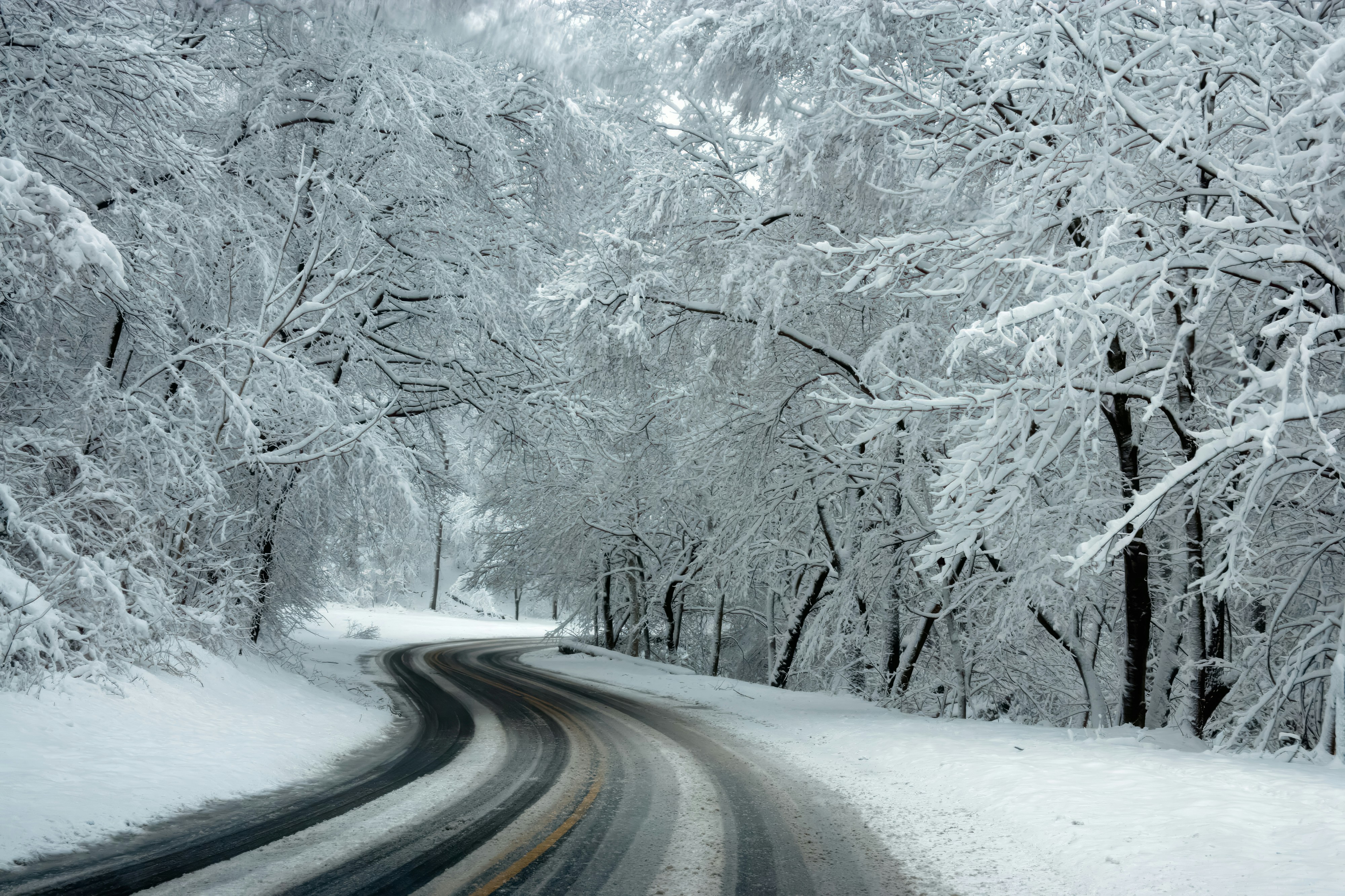 snowy winding road surrounded by snow covered trees