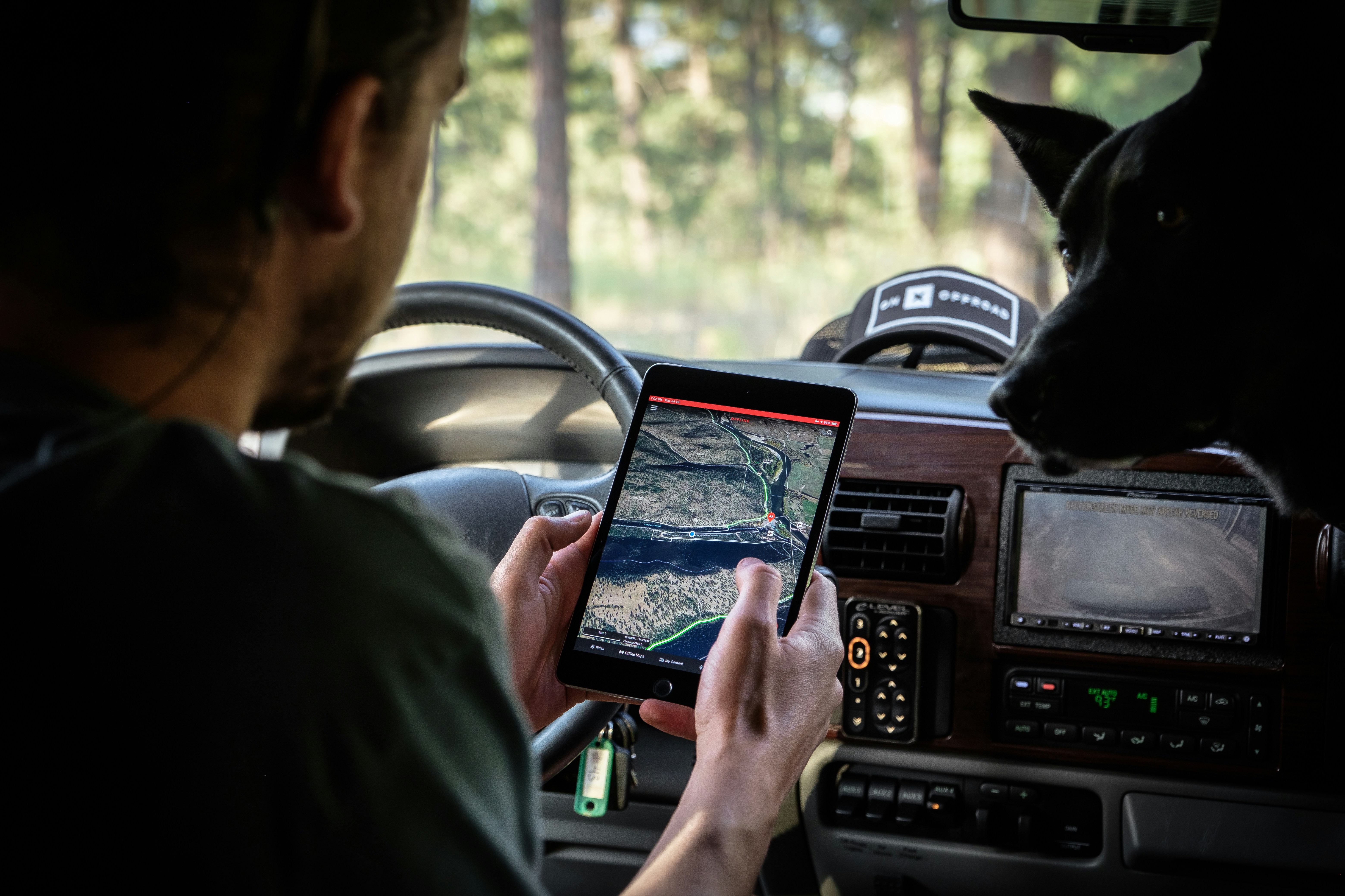 man on phone in car looking at map, forest in background