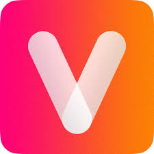 Vidgenie Ai