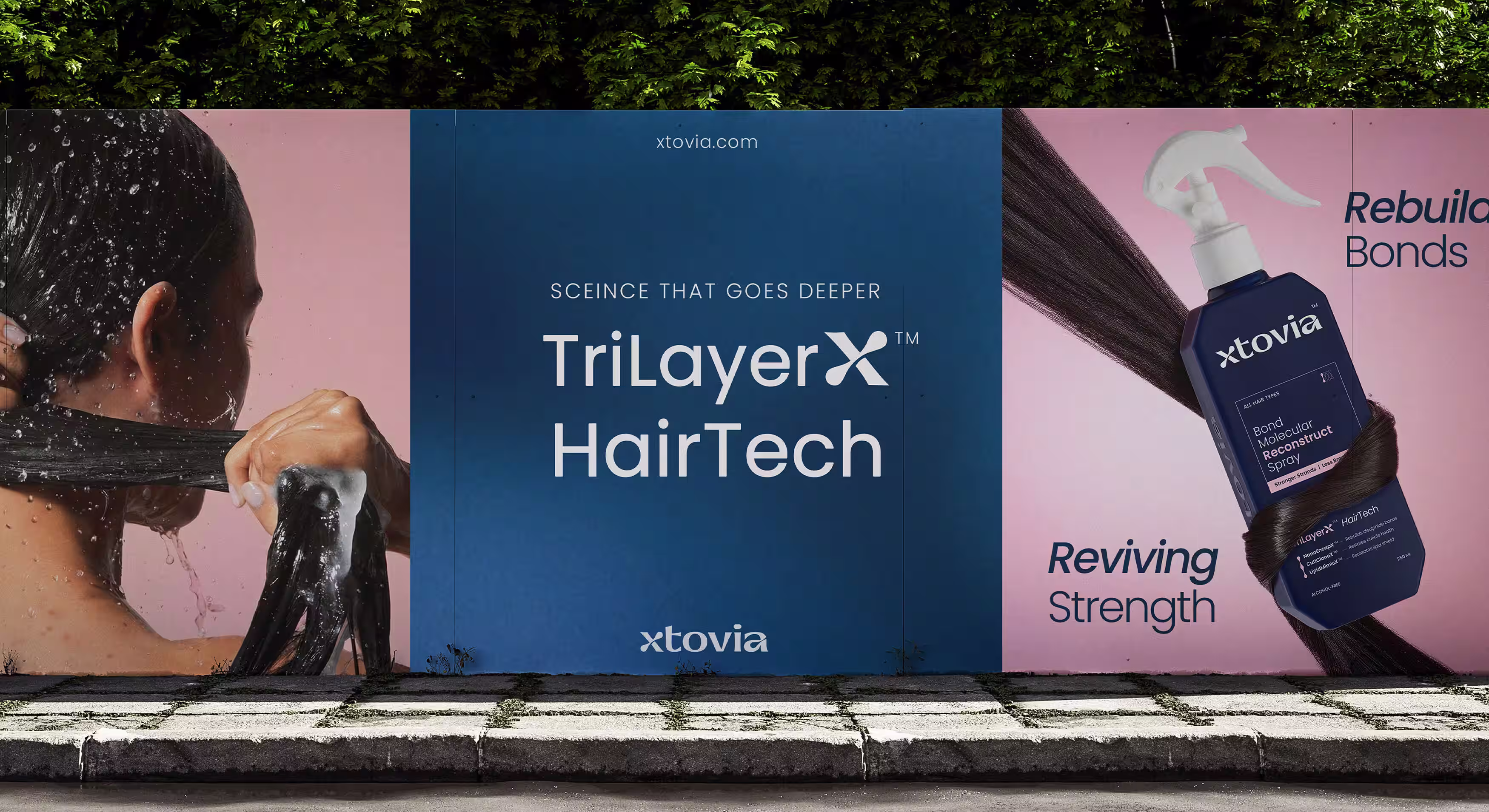 Xtovia – Packaging showcase and product range