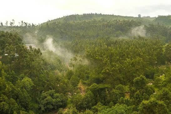 Kafa Forest Trekking & Birding
