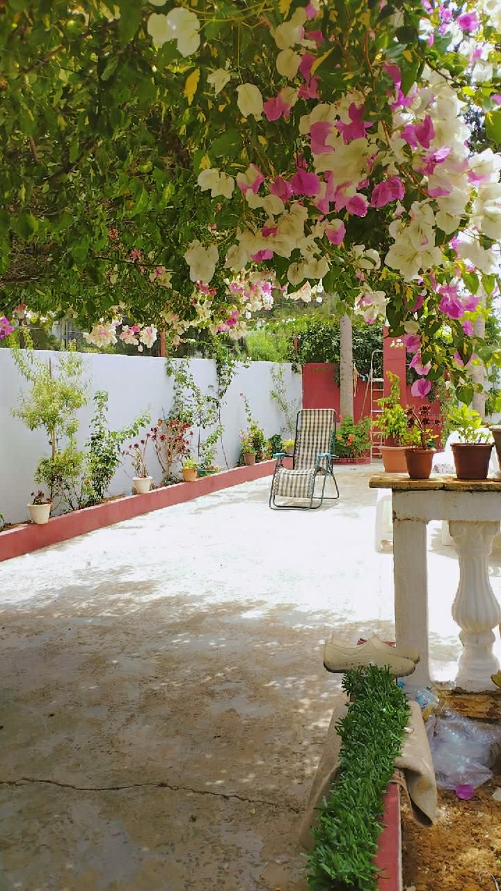Villa a Cherchell avec piscine 4