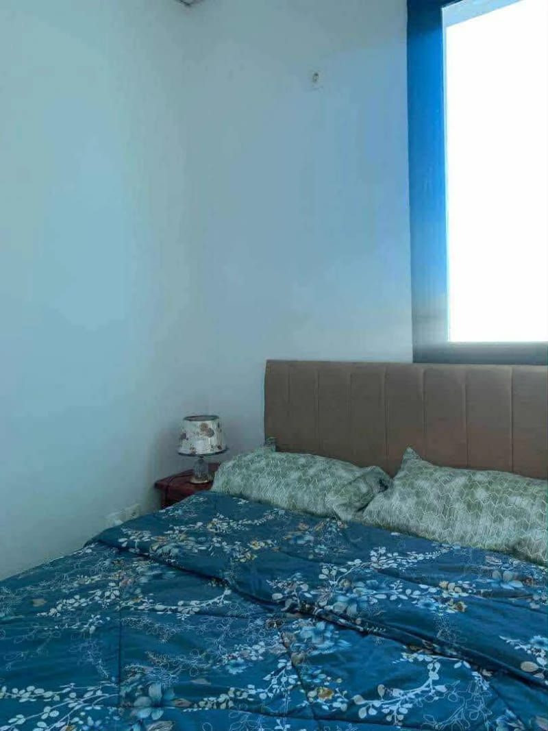 Yacine lux 7