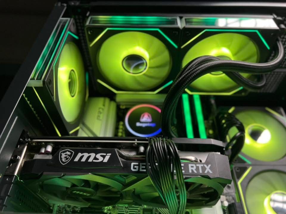 Case