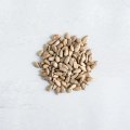 Seeds & Seedlings