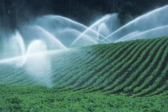 Irrigation & Water