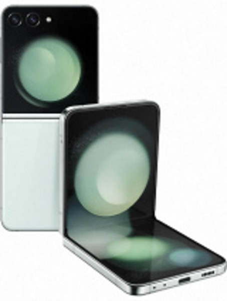 Samsung Galaxy Z Flip5 256GB (2023)