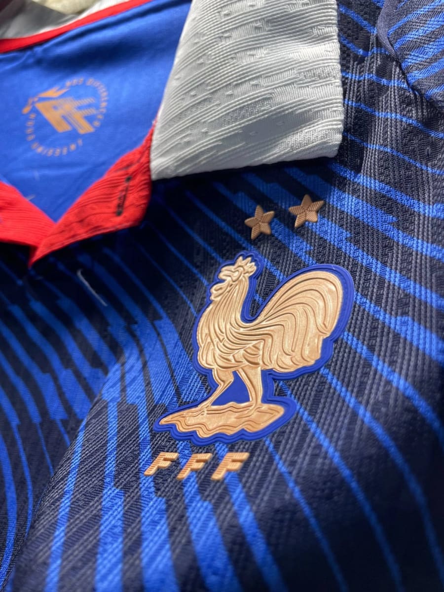 France Home Kit image 2