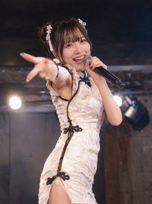 Chinese-Style Idol Concert Portrait AI image template preview