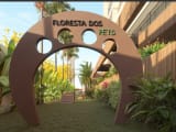Miniatura: Floresta dos Pets do Splendore Boa Viagem