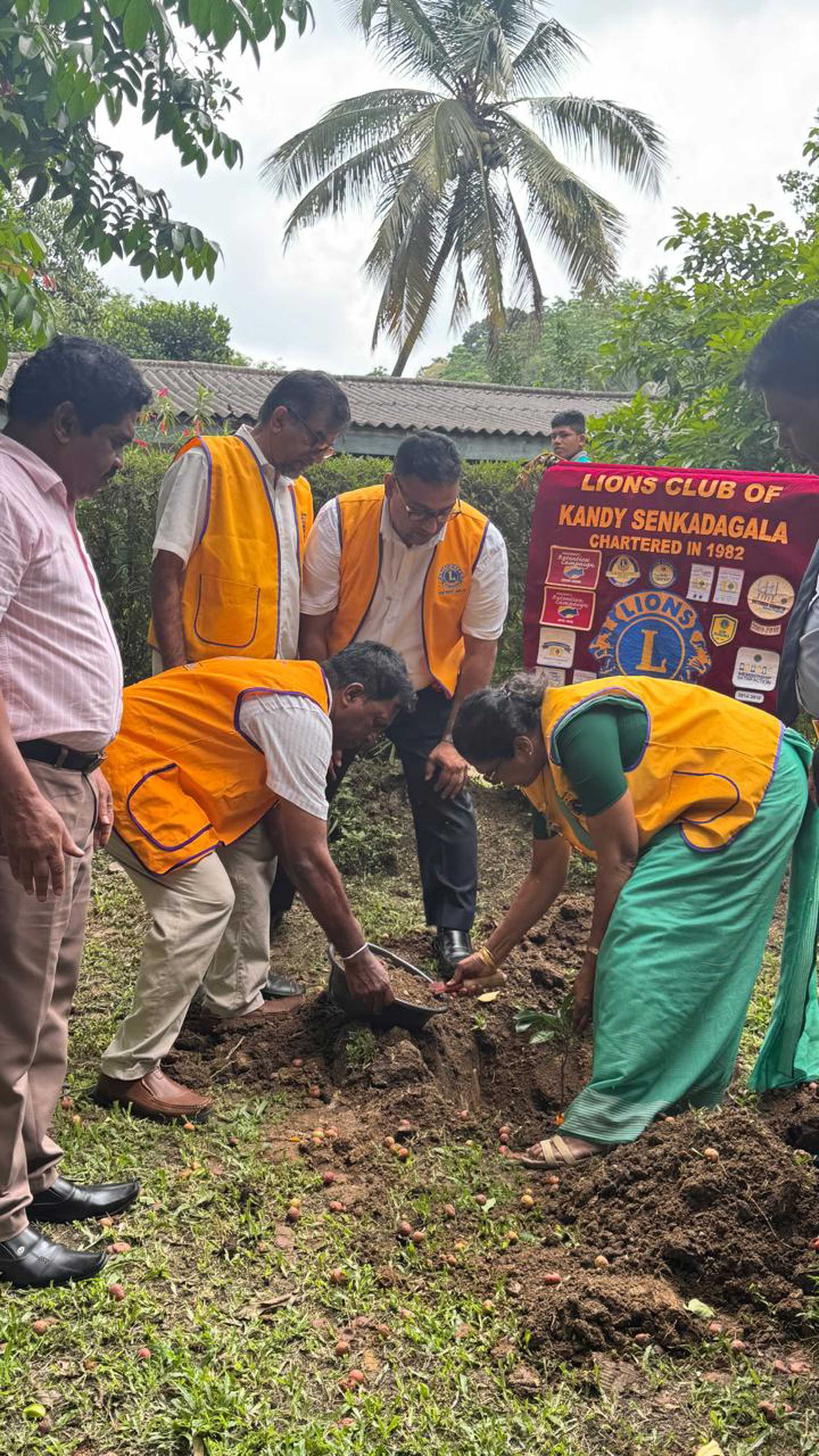 Tree planting programme in the different abel school in Kandy photo 5