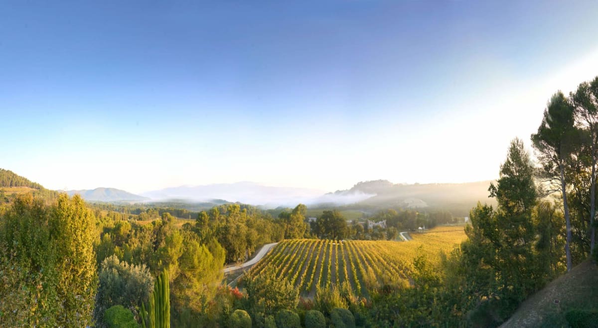 Lever du jour doré sur le vignoble de Château La Coste et les collines du Luberon, vu depuis Villa La Coste