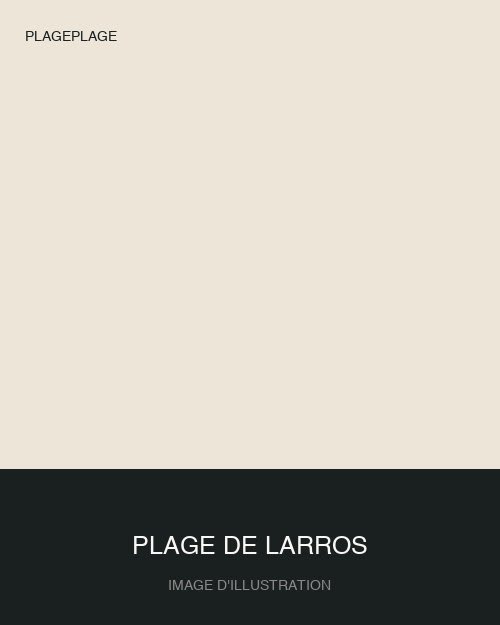 Plage de Larros