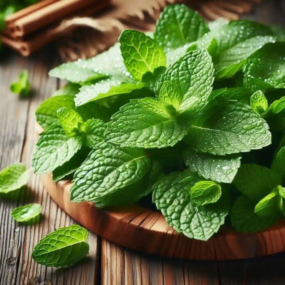 Peppermint