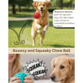 Honeycomb Squeaky Dog Ball Toy, Durable Interactive Chew Toy for All Breeds thumbnail 6