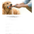 Checkered Bone Dog Toy, Squeaky Interactive Chew Toy for Medium & Large Dogs thumbnail 5