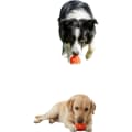 Treat Dispensing Dog Ball, Interactive Toy & Treat Feeder for Medium & Large Dog thumbnail 4