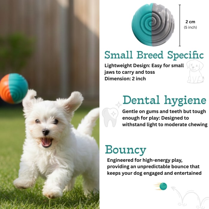 Spiral Pattern Dog Ball Toy, Durable Interactive Chew Toy for Small Dogs view 7