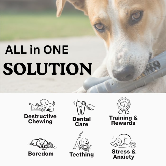 Bone-Shaped Squeaky Dog Toy, Durable Interactive Chew Toy for Small, Medium & Large Dogs view 7