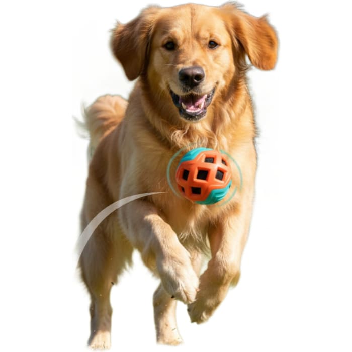 Crinkle Ball Dog Toy, Durable Chew Toy for Medium & Large Dogs view 4