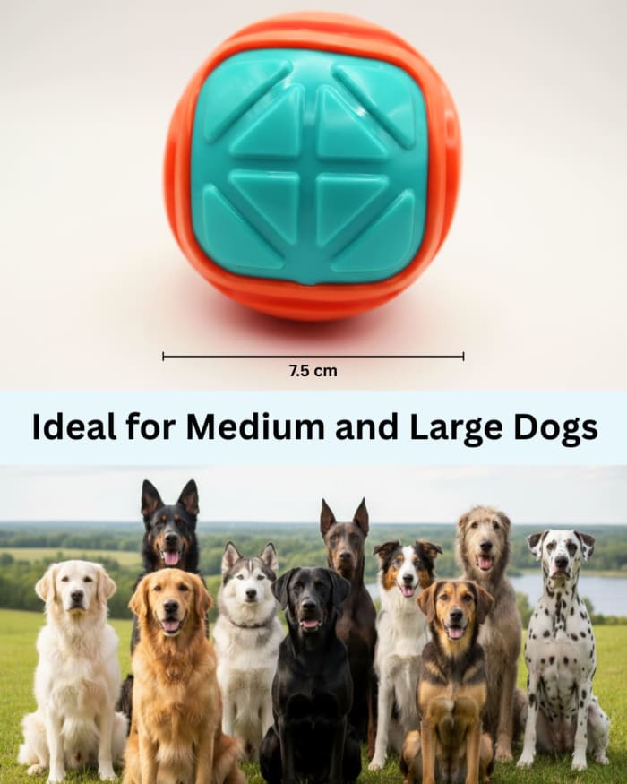 Geo-Grip Dog Ball Toy, Durable Interactive Chew Toy for Medium & Large Dogs view 8