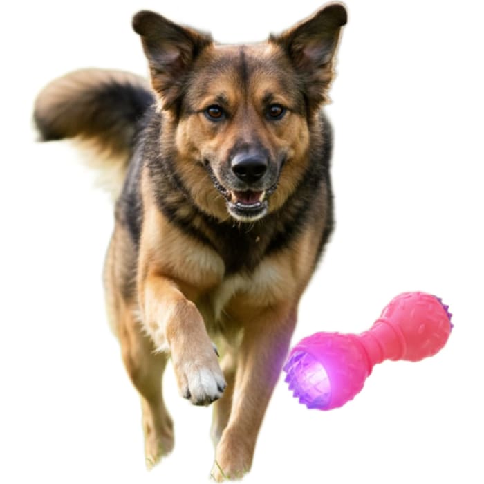 Glow-in-the-Dark Dumbbell Dog Toy, Durable Interactive Chew Toy for Medium & Large Dogs view 7