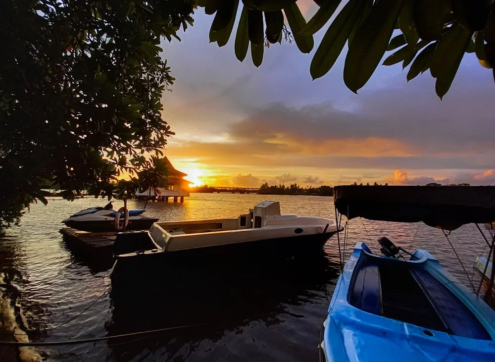 A small safari boat passing through a mangrove channel
