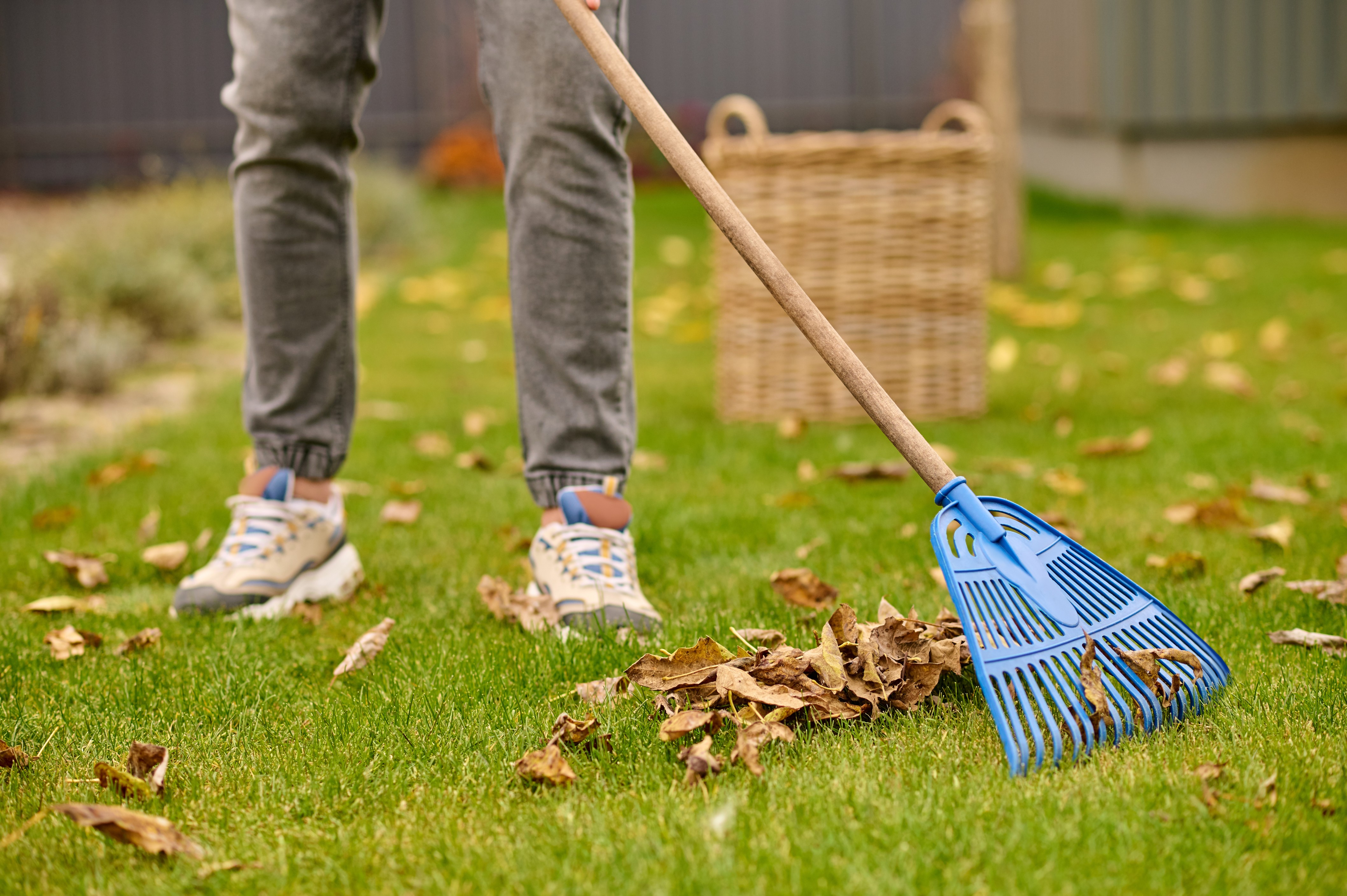 male-feet-lawn-rake-near-leaves