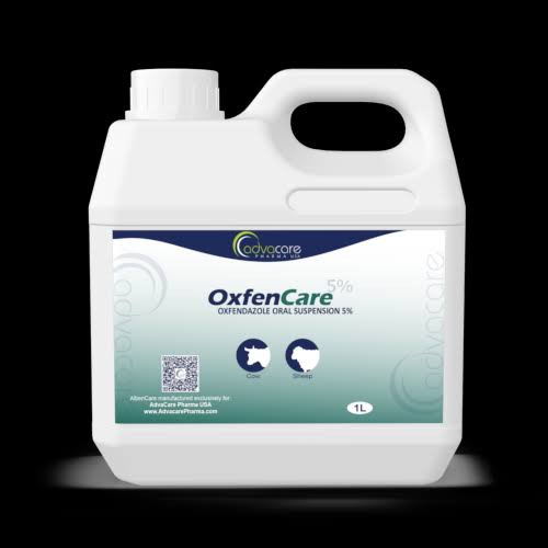 Oxfendazole (Technical Grade, Liquid) in commercial industrial packaging