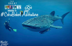 oslob whale shark watching