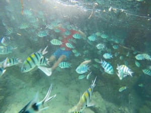 cebu tour pescador island moalboal
