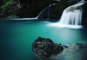 cebu tour kawasan falls 1
